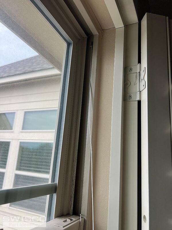 window 5