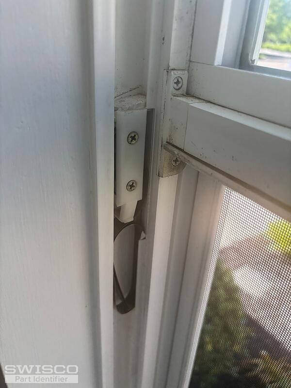 Image (1)
