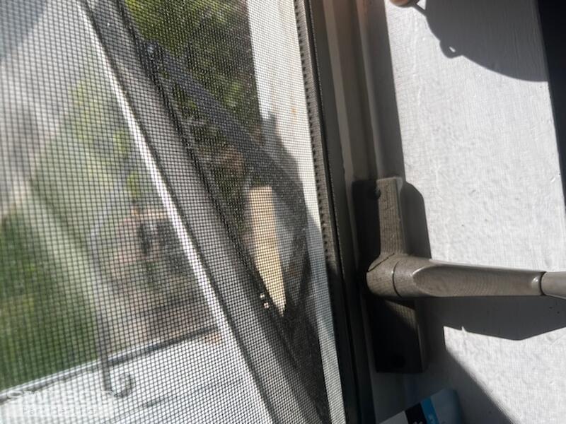 window 3