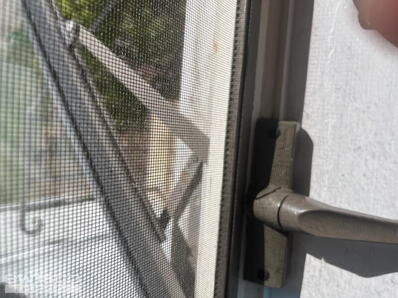 window 4