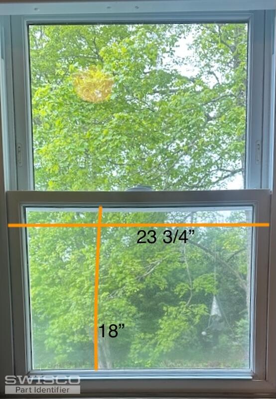 Window