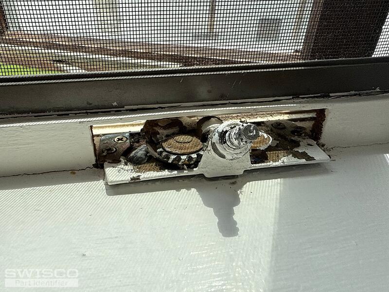 IMG_0945