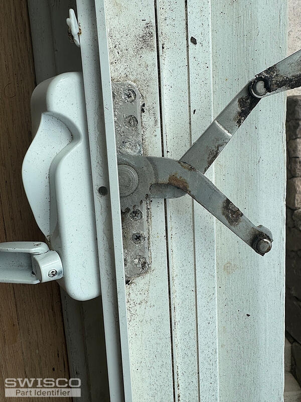 IMG_3887