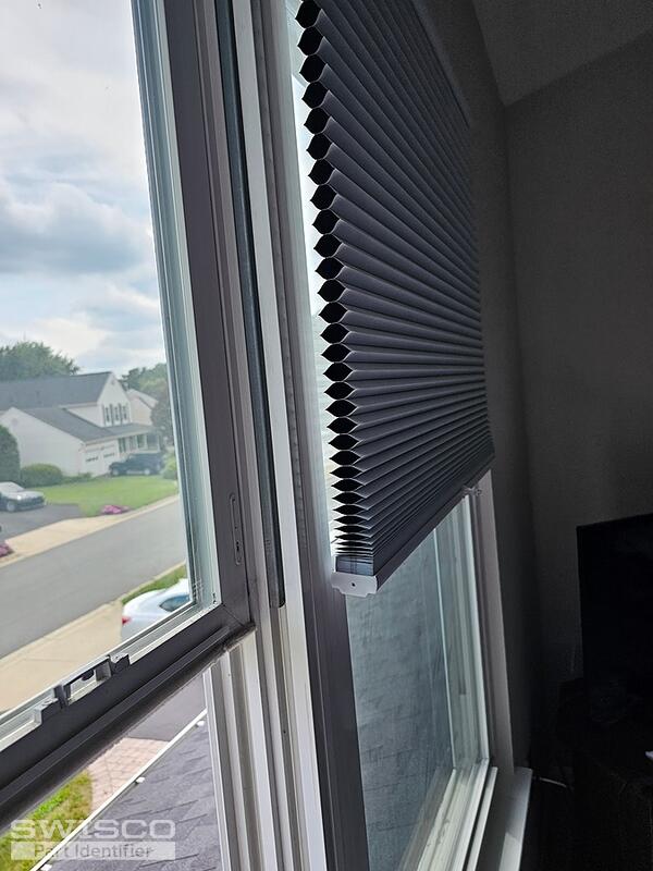 Window Pic 5