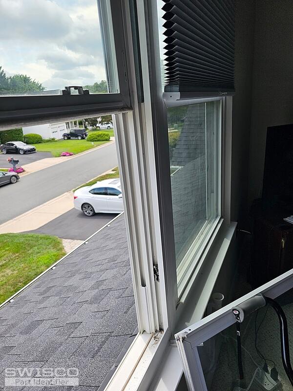 Window Pic 6