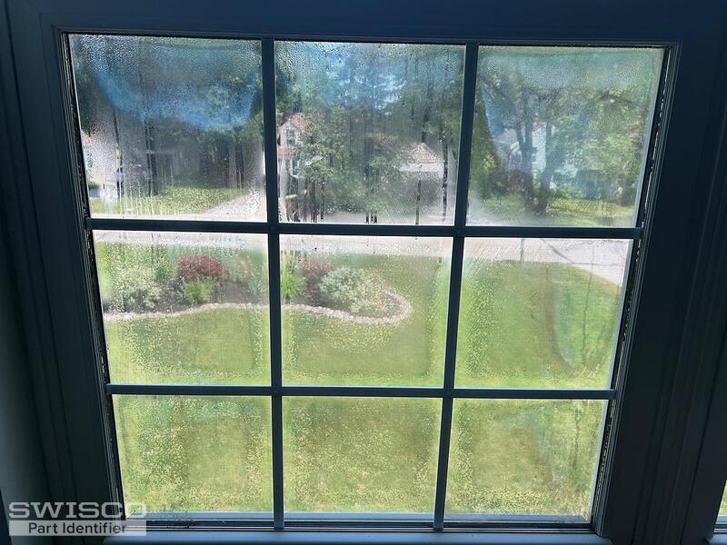 Foggy Window