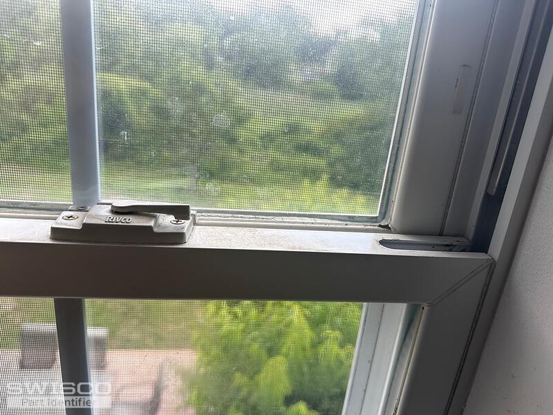 IMG_8775