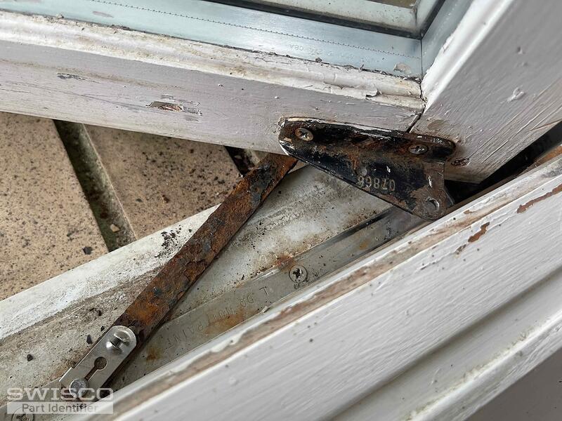 IMG_4683