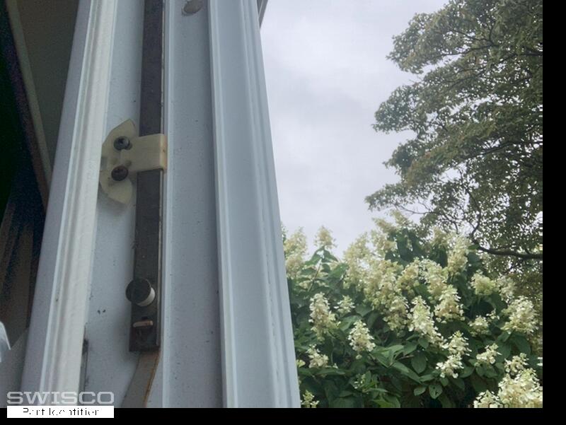 webcam-8/20/2025, 11:09:54 AM