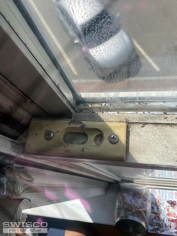 IMG_4081