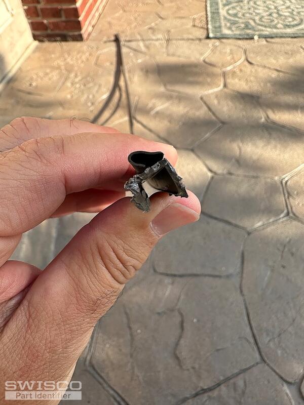 IMG_3500