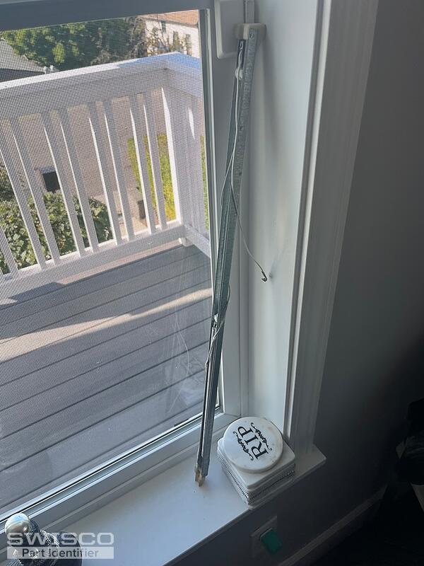 IMG_8528