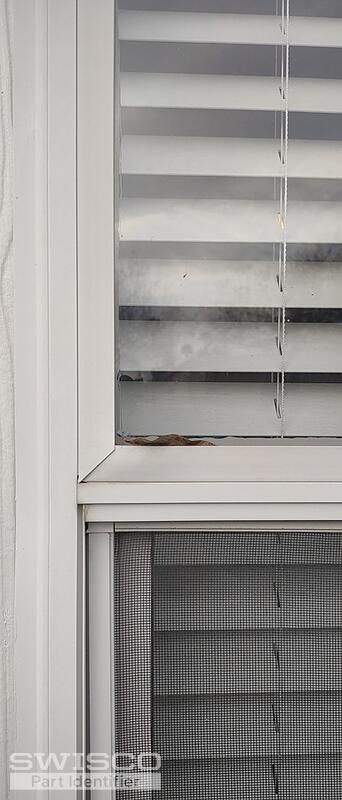 IMG_20260121_171034464_MP