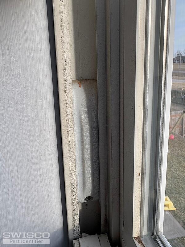 Window 