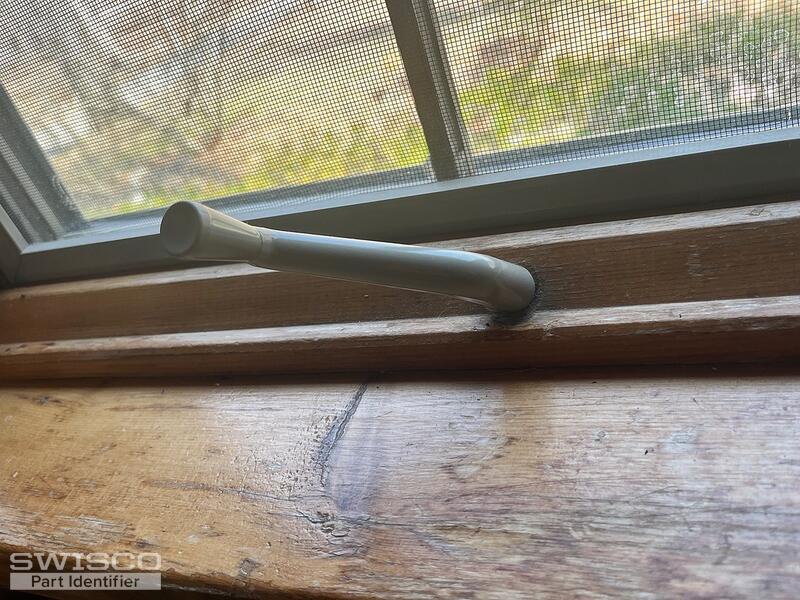 IMG_7539