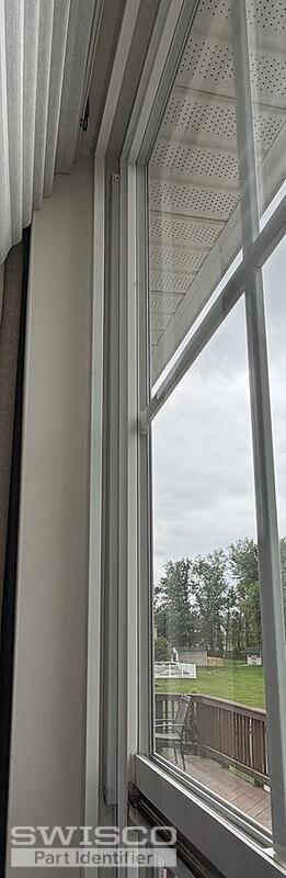 IMG_2899