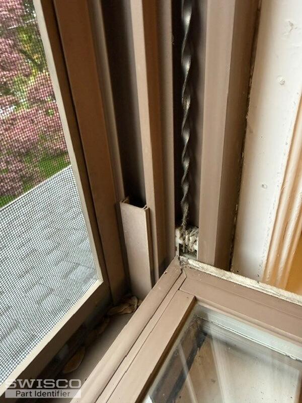 photo1