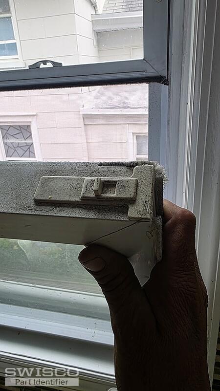 IMG-20260810-WA0009